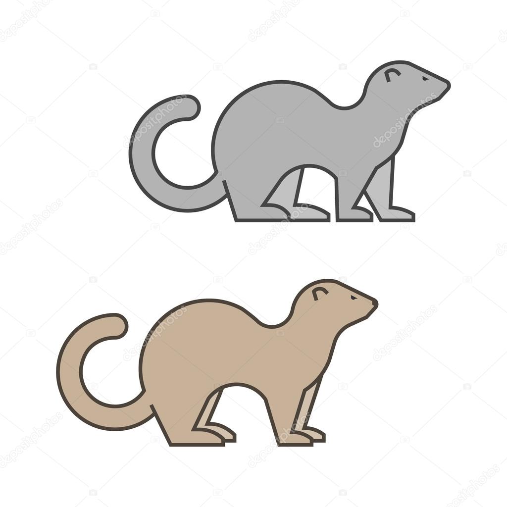 Line vector silhouette of a ferret on a white background.