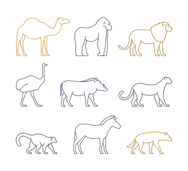 Conjunto de líneas vectoriales de color de animales africanos — Vector de stock