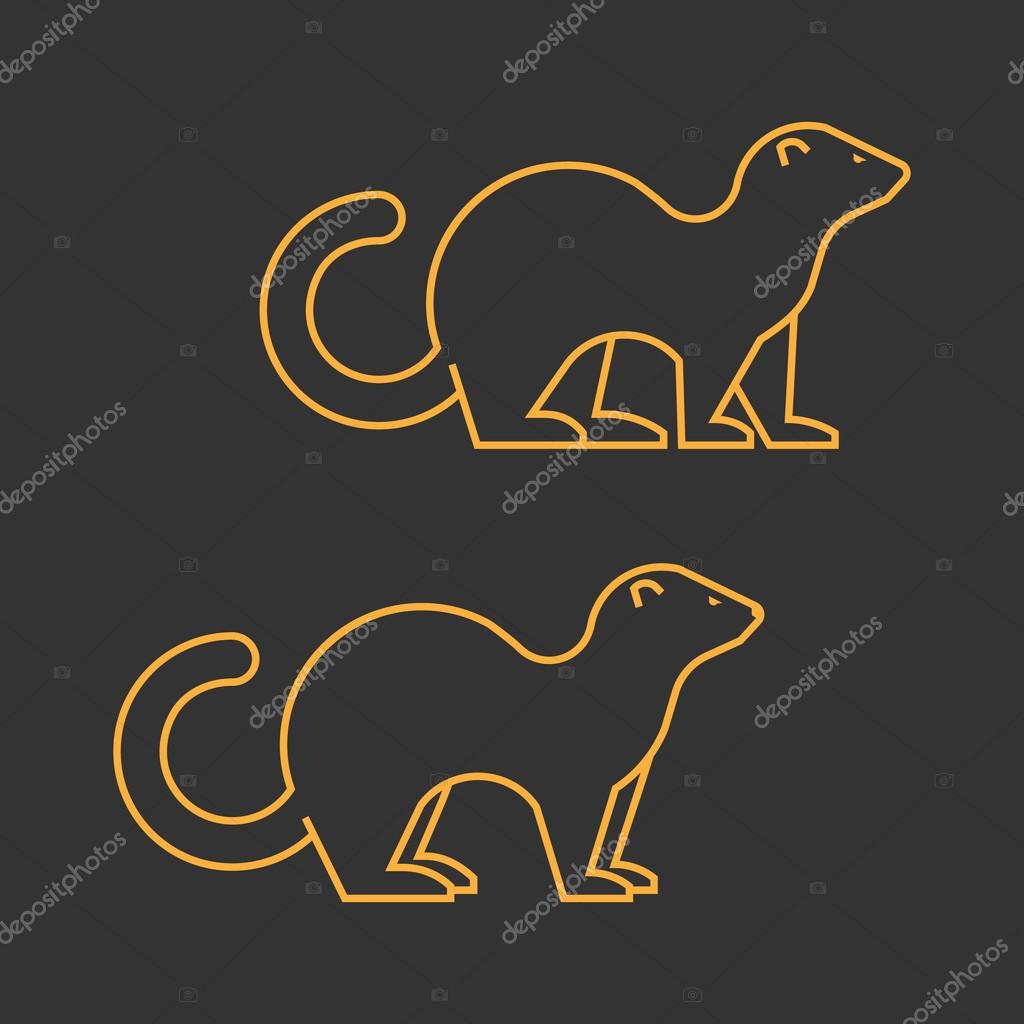 Gold outline vector silhouette ferret on black background.
