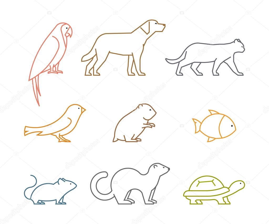 Colored line group of pets. Silhouettes animals isolated on white. Vector icons parrot, dog, mouse and hamster. Outline silhouette hamsters, canaries, cats and turtles.