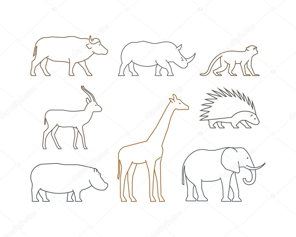 Colored vector line set of african animals. Outline isolated silhouettes african animals. Line icons gazelle, rhino, monkey and elephant.