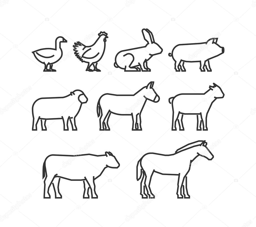 Maya Symbole Tiere Maya Symbole Tiere