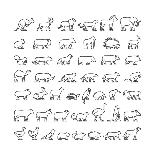 Vector line silhouettes of domestic, farm and wild animals Vector Graphics