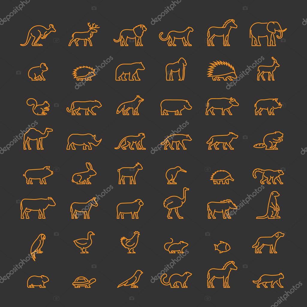 Line set of silhouettes of domestic and wild animals. Vector pets and farm animals. Line icon kangaroos, meerkat, warthog, chicken, bear, leopard, kiwi, lemur and others.