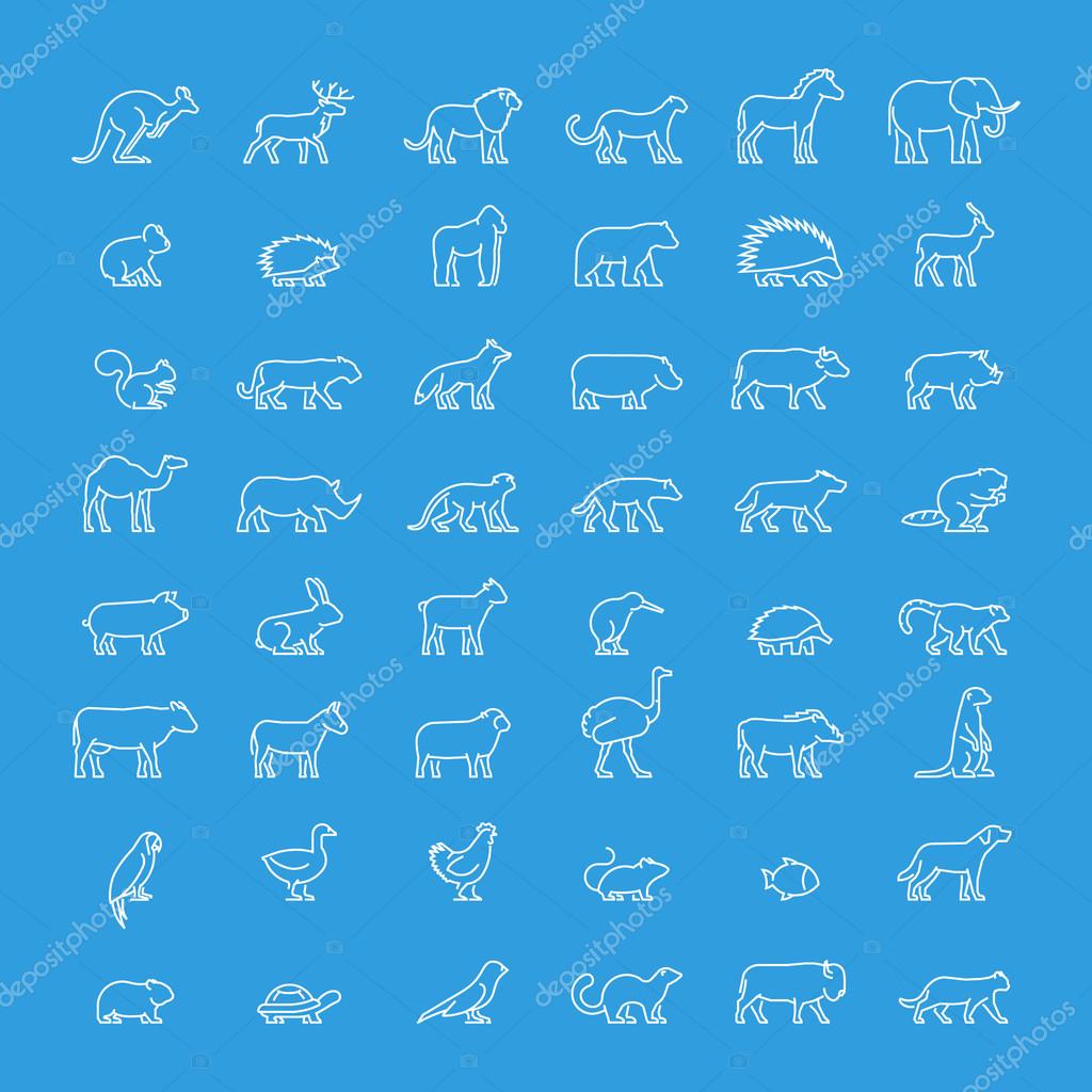 Vector line set of animal icons. Linear ferret, ostrich, meerkat, warthog, chicken, mouse, hedgehog and others. Open path.