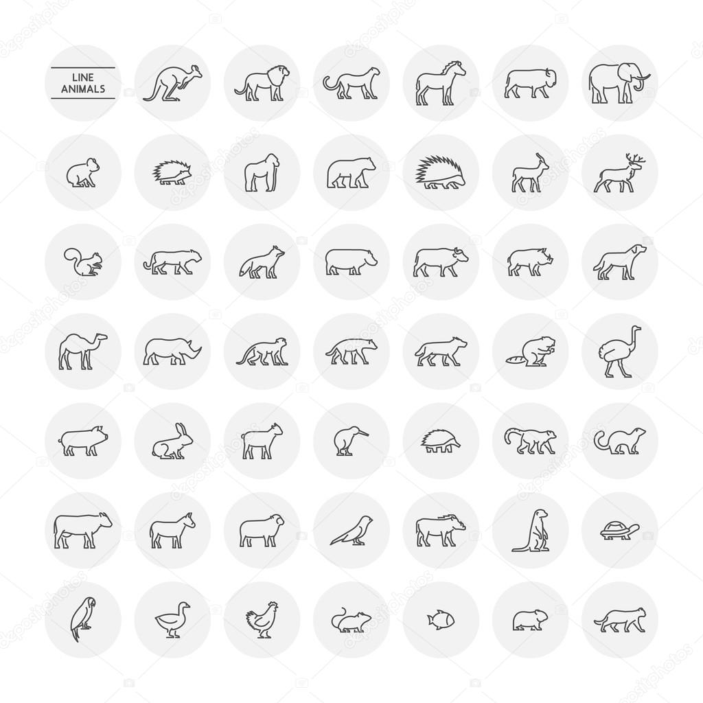Line set silhouettes of domestic, farm, forest and wild animals. Linear icon chicken, cow, hedgehog, cat, dog and others. Open path.