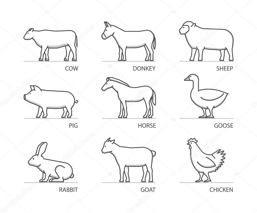Linear set of farm animals. Vector silhouettes animals isolated on white. Line icons cow, pig, rabbit, donkey, horse, goat, sheep, goose and chicken.