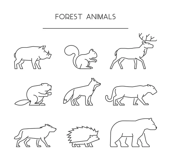 Línea de animales del bosque. Siluetas lineales animales aislados — Vector de stock