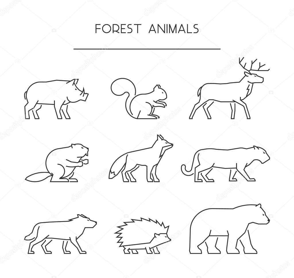 Африканские животные раскраска. Животные схематичное изображение. Контуры диких животных для детей. Животные схематичное изображение. Контуры животных леса.