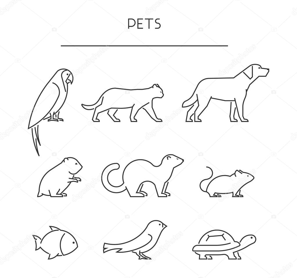 Line set of pets. Linear silhouettes animals isolated on white. Vector icons parrot, cat, dog, labrador, hamster, ferret, mouse, fish, canary and turtle.