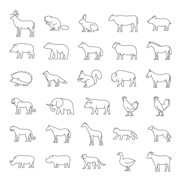 Conjunto de animales domésticos y salvajes sobre un fondo blanco . — Vector de stock