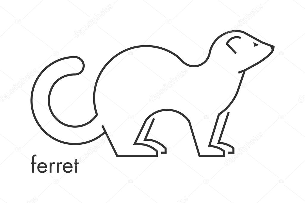 Vector line figure of ferret on a white background. Linear beaver for web and design.