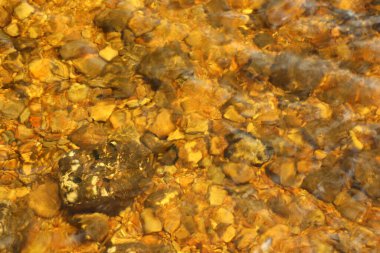 Nehir kenarındaki göllerde oynuyorlar.