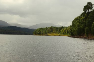 Nehir kenarındaki göllerde oynuyorlar.