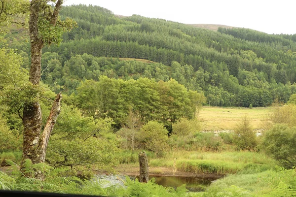 İskoçya 'nın tepelerinden derelere, nehirlere ve göllere bir manzara