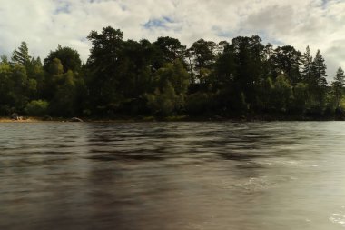 Nehir kenarındaki göllerde oynuyorlar.