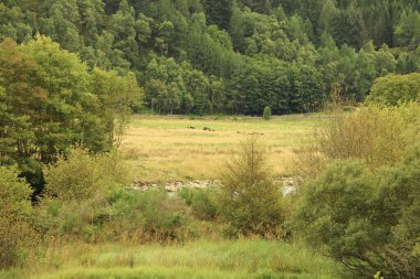 İskoçya 'nın tepelerinden derelere, nehirlere ve göllere bir manzara