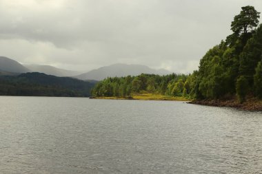 Nehir kenarındaki göllerde oynuyorlar.
