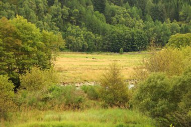 İskoçya 'nın tepelerinden derelere, nehirlere ve göllere bir manzara