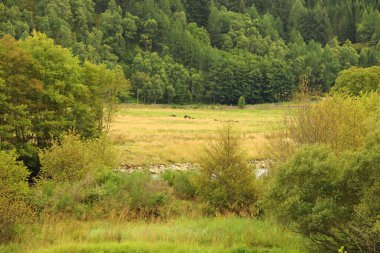 İskoçya 'nın tepelerinden derelere, nehirlere ve göllere bir manzara