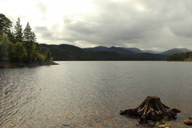 Nehir kenarındaki göllerde oynuyorlar.