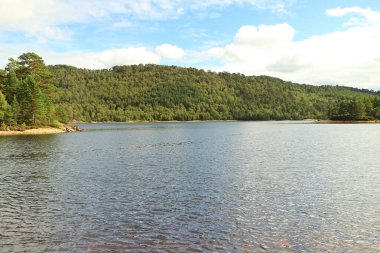 Beannacharan Gölü 'nde geziniyor. 