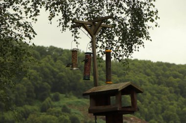 Kuş yemliğinde fındıklara yumulmak.