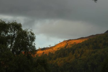 Eagle Brae 'den Glen Affric