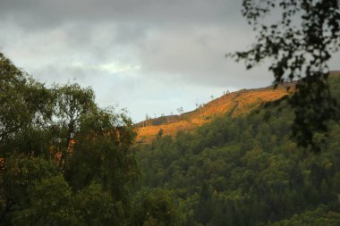 Eagle Brae 'den Glen Affric
