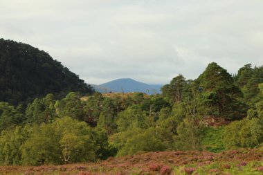 Glen Strathfarrar 'dan geçen yol 