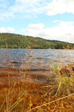 Beannacharan Gölü 'nde geziniyor. 