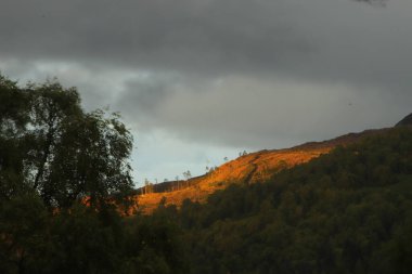 Eagle Brae 'den Glen Affric
