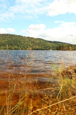 Beannacharan Gölü 'nde geziniyor. 