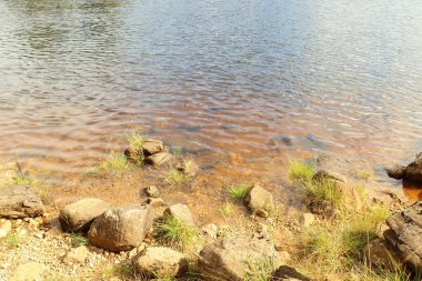 Beannacharan Gölü 'nde geziniyor. 