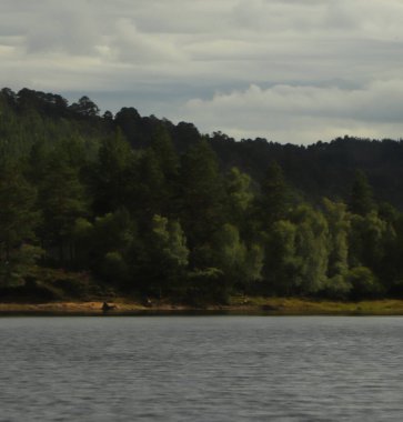 Beannacharan Gölü 'nde geziniyor. 