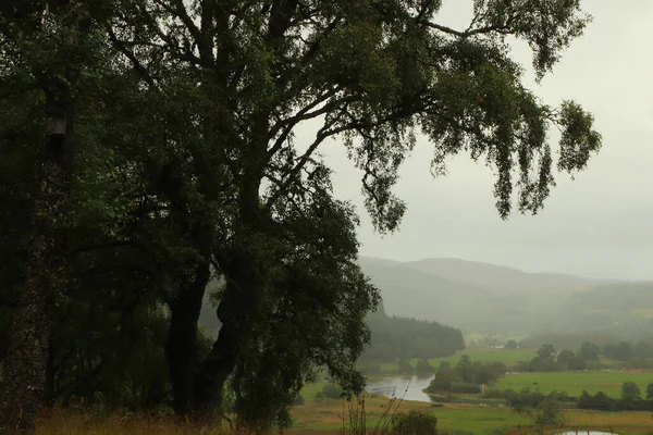 Vista Glen Affric Eagle Brae — Fotografia de Stock