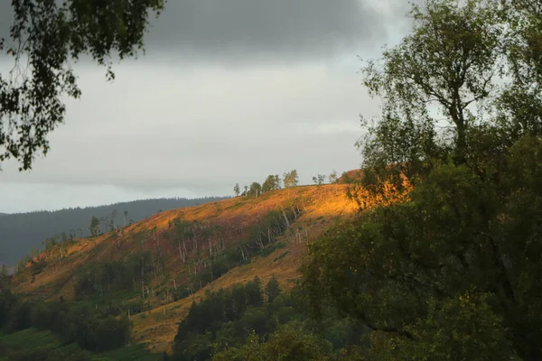 Vue Glen Affric Depuis Eagle Brae — Photo