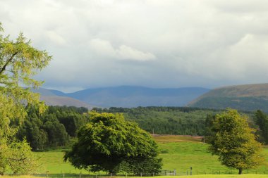 Loch Insh 'in içinde ve etrafında