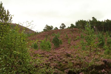 Cairngorm 'larla Yeşil Göl' ün etrafında dolaşıyorlar.