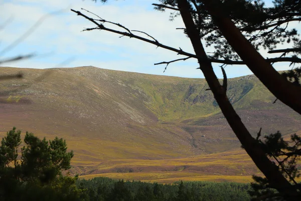 Pohled Výšky Cairngorms — Stock fotografie