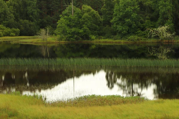 Alrededor Loch Insh — Foto de Stock