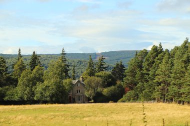 Loch Insh 'in içinde ve etrafında