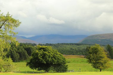 Loch Insh 'in içinde ve etrafında