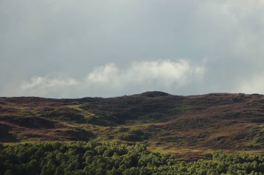 Loch Insh 'in içinde ve etrafında