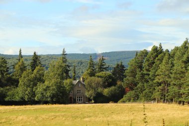 Loch Insh 'in içinde ve etrafında