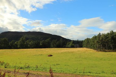 Loch Insh 'in içinde ve etrafında
