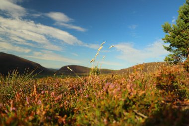 Cairngorm 'ların yukarısından dışarı bak