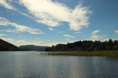 Yazın Loch Pityoulish 'de kürek çekmek
