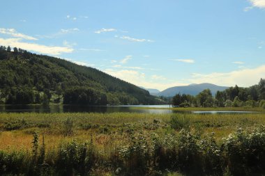 Yazın Loch Pityoulish 'de kürek çekmek
