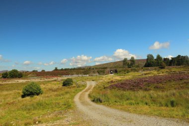 Aviemore 'a giderken İskoçya' da güneşli bir gün.